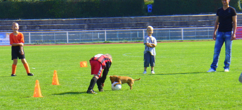 P1040036
