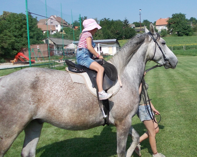 bohuslavice 2012, orig 022